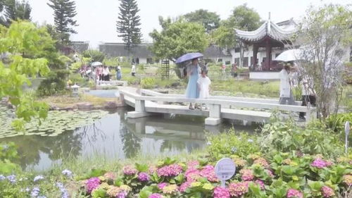 半小時省了30萬元門票錢 免費首日廈門園博苑到底有多火