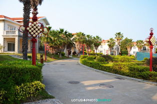 廈門攻略 那一片海，那一片城——漫步園博苑，盡覽園林之美