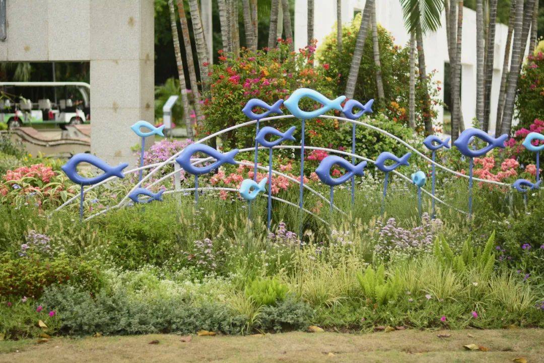 廈門園博苑三角梅主題花境記錄_佩蘭_植物園_作品